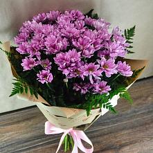 Букет цветов из:  Хризантемы #REPLACE_PRED# Сухой Буйволе