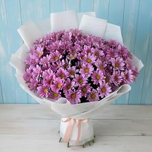 Букет цветов из:  Хризантемы #REPLACE_PRED# Сухой Буйволе