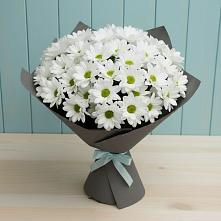Букет цветов из:  Хризантемы #REPLACE_PRED# Сухой Буйволе