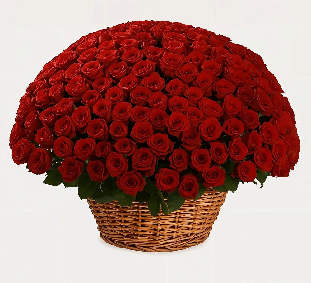 Премиум букет из: Розы в Сухой Буйволе