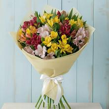 Букет цветов из:  Альстромерии в Сухой Буйволе