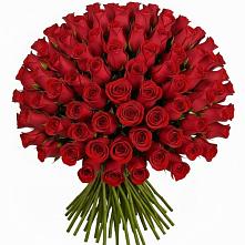 Букет Красные розы Чери Лав #REPLACE_PRED# Сухой Буйволе