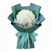 Букет цветов из:  Гортензия в Сухой Буйволе